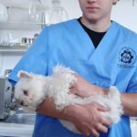 Uczeń z psim pacjentem