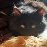 Zdjęcie biorące udział w konkursie 25