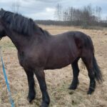 Zdjęcie biorące udział w konkursie 2