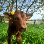 Zdjęcie biorące udział w konkursie 3