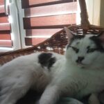 Zdjęcie biorące udział w konkursie 4