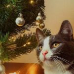 Zdjęcie biorące udział w konkursie 5