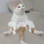 Zdjęcie biorące udział w konkursie 7