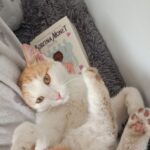 Zdjęcie biorące udział w konkursie 9