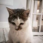 Zdjęcie biorące udział w konkursie 11