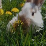 Zdjęcie biorące udział w konkursie 16