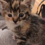 Zdjęcie biorące udział w konkursie 17