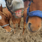 Zdjęcie biorące udział w konkursie 18