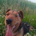 Zdjęcie biorące udział w konkursie 21