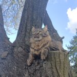 Zdjęcie biorące udział w konkursie 22