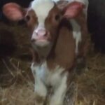 Zdjęcie biorące udział w konkursie 23