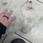 Zdjęcie biorące udział w konkursie 24