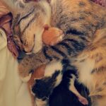 Zdjęcie biorące udział w konkursie 19