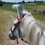 Zdjęcie biorące udział w konkursie 20