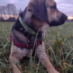 Zdjęcie biorące udział w konkursie