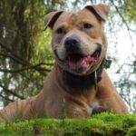 Zdjęcie biorące udział w konkursie 6