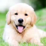 Zdjęcie biorące udział w konkursie 10