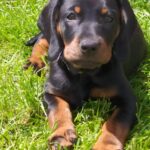 Zdjęcie biorące udział w konkursie 15