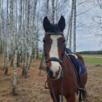 Zdjęcie biorące udział w konkursie 13