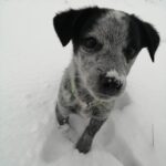 Zdjęcie biorące udział w konkursie 14