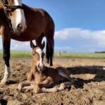 Praca Zuzanny Wysockiej