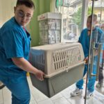 Uczniowie podczas zajęć w lecznicy weterynaryjnej 2