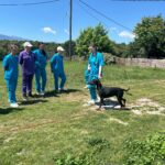 Uczniowie ze zwierzętami