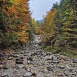 Uczniowie podczas wycieczki 6