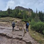 Uczniowie podczas wycieczki 8