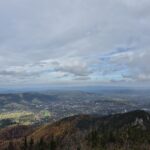 Uczniowie podczas wycieczki 10