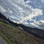 Uczniowie podczas wycieczki 14