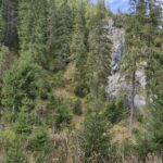 Uczniowie podczas wycieczki 18