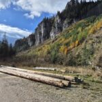 Uczniowie podczas wycieczki 24