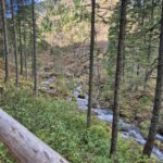 Uczniowie podczas wycieczki 29