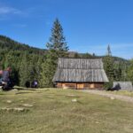 Uczniowie podczas wycieczki 36