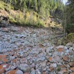 Uczniowie podczas wycieczki 44