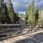 Uczniowie podczas wycieczki 45