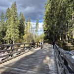 Uczniowie podczas wycieczki 46