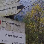 Uczniowie podczas wycieczki 47