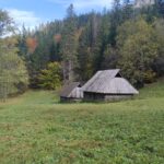 Uczniowie podczas wycieczki 48