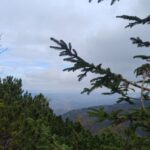 Uczniowie podczas wycieczki 51