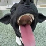 Zakupy w ramach FELU 2