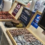 Stoiska prezentowane podczas Targów 15