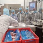 Uczennice ZSCKR z uwagą słuchają o działaniu ubojni