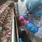 Uczniowie ZSCKR podczas zajęć przy taśmie