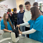 Uczniowie szkół podstawowych podczas zajęć z fantomem głowy psa