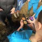 Uczennice ZSCKR dolewają odczynnik do mleka